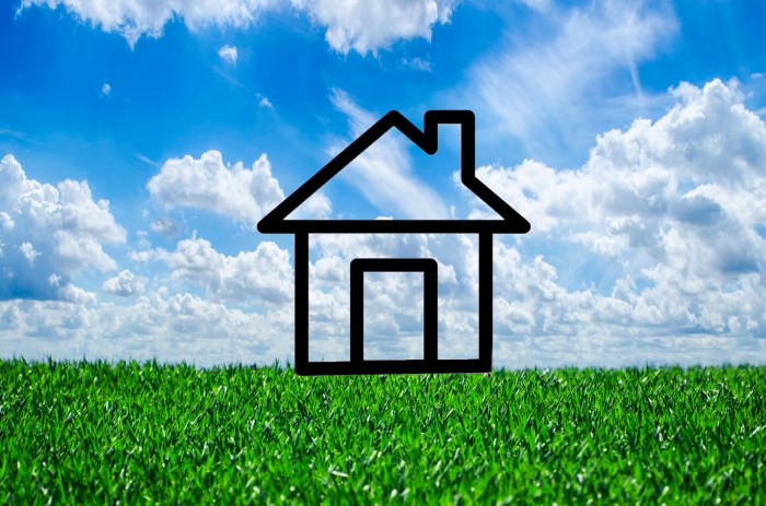 Home improvement pilot